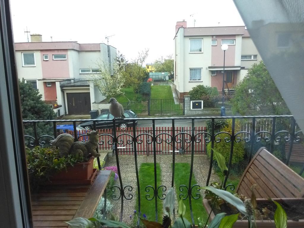 Ubytovani Irena Benesov  Exterior foto